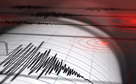 4.7 magnitude earthquake hits Jammu and Kashmir's Baramulla