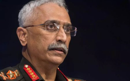 Gen Naravane's memoir: Rules bar retired officers from publishing classified info