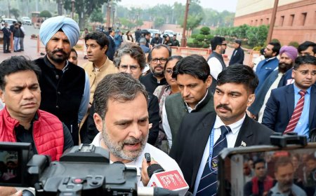 'Our Prime Minister compromised, sold our nation': Rahul Gandhi outside Parliament after LS snub