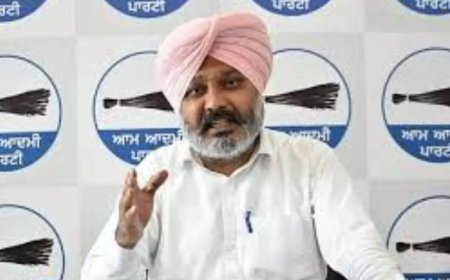 Punjab 'completely ignored' in Union budget yet again: Finance Minister Cheema