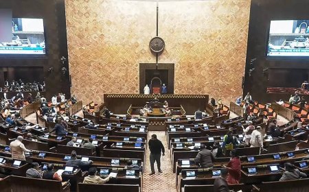 Bihar, Assam, Chhattisgarh lead the way in installing smart electricity meters: Govt in Rajya Sabha