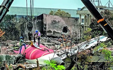 Grounded 787’s fuel control switch lock satisfactory: Govt