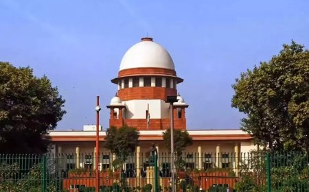 Take fresh call on CCI probe against Flipkart: SC to NCLAT