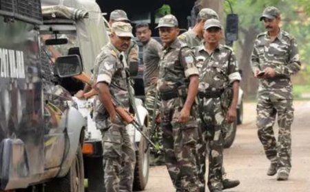 MHA: 364 Maoists, including 12 top leaders, killed last year; 2,337 surrendered