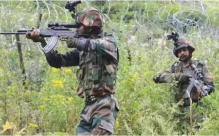 Operation Kiya: Two terrorists killed by security forces in J&amp;K's Udhampur