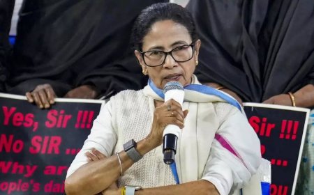 'Not getting justice anywhere': Mamata takes SIR battle to SC - top developments