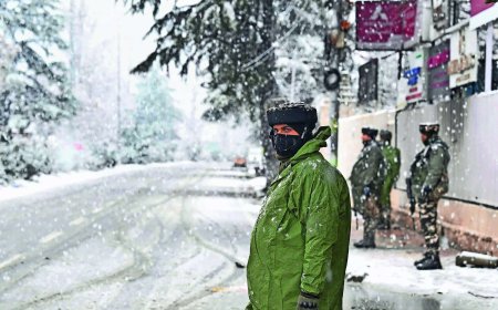 Top JeM operative among 3 shot dead in J&amp;K ops