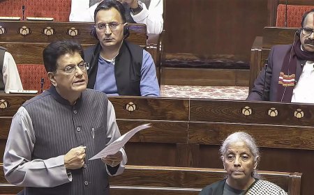 Energy security of 1.4bn Indians govt’s supreme priority: Goyal in Parliament
