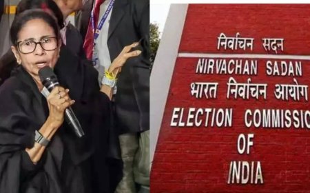 Prevent systematic pattern of violence, threats against our WB staff: EC to SC