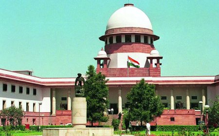 SC flags undervaluation, sham auctions under IBC, seeks probe