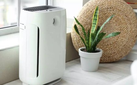 CPWD bought 405 air purifiers in 4 years, for babus &amp; courts