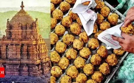'Ghee made from bathroom-cleaning chemicals': Andhra CM slams previous Jagan govt over Tirupati laddus