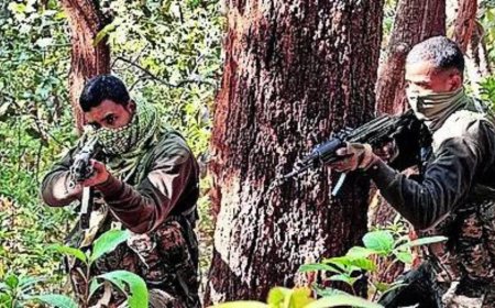 Seven Naxals killed in Gadchiroli, including top leader; special force jawan succumbs to injuries