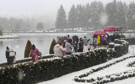 Over 1.7 crore tourists, including 36,000 foreigners, visited J&amp;K in 2025: Govt