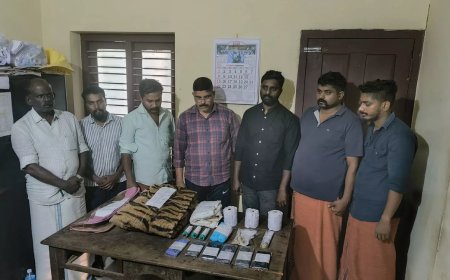 Kerala: Forest officials bust wildlife trafficking gang trying to sell tiger skin, claws, teeth; 7 held