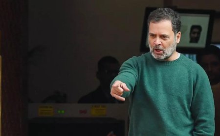 Rahul Gandhi's message to Gen Z: 'Be flexible and persevere'