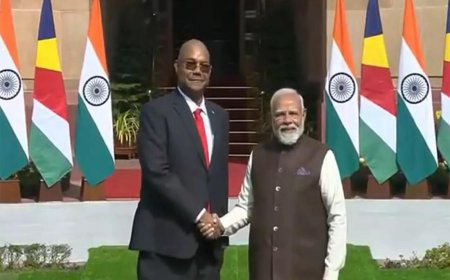 Prime Minister Narendra Modi meets Seychelles President Patrick Herminie