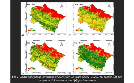 Two decades of sat data show gradual dip in Uttarakhand hills green cover