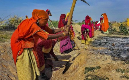 Joblessness among those aged 15 and above falls in rural, urban areas in Oct-Dec: PLFS