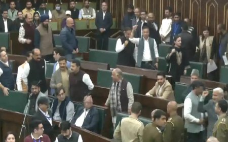 'Shoe-beating' remark sparks uproar in J&amp;K assembly, BJP demands Omar apology