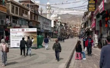 Centre rejects Sixth Schedule, statehood for Ladakh, offers council