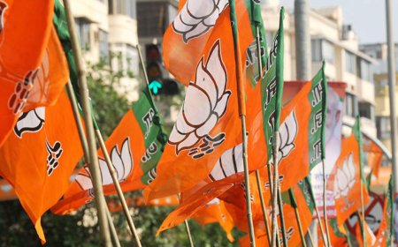 BJP got 82% of Rs 3,826 crore electoral trust funds disbursed in FY25: Report