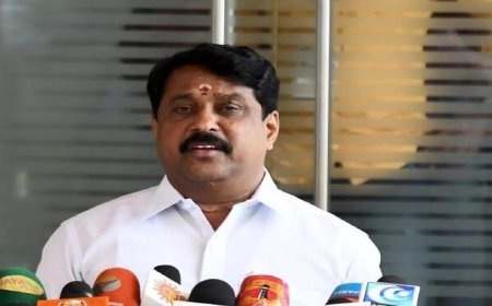 'Criticising personal life is uncivilised': DMK MPs slam TN BJP chief Nagendran for remarks on TVK chief Vijay, actor Trisha