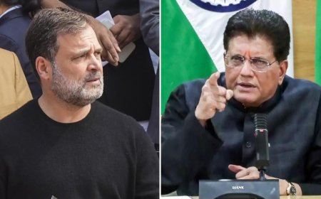 'Politics of negativity': Piyush Goyal rejects Rahul Gandhi's concerns over India-US trade deal