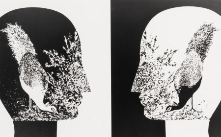 A painter with a camera: How Jyoti Bhatt rewrote the rules of photography