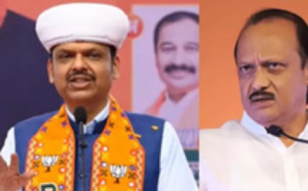 Maha CM Fadnavis stays minority tags issued hours after Ajit Pawar's death