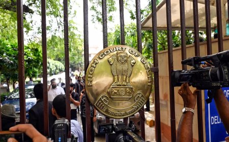 Can't let India be maligned, Delhi HC tells journo in OCI card case