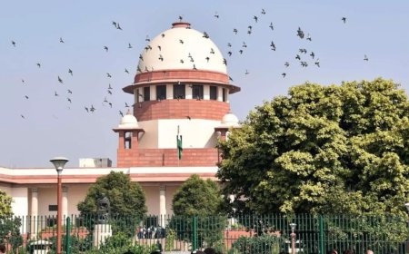 'Don't trust anyone': SC cautions the young against pre-marital sex