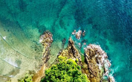 NGT nod thwarted Gandhis' bid to stall Nicobar plan: BJP