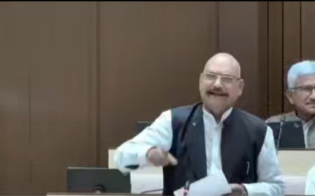 'Boy vs girl' budget: Rajasthan BJP MLA's sexist remark sparks row; he asks 'what is wrong?'