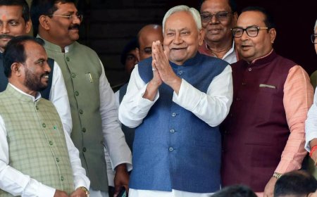 'Prohibition causing significant financial losses': NDA allies nudge Nitish Kumar to reconsider liquor ban