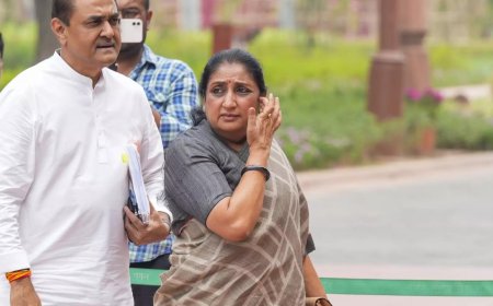 Deputy CM Sunetra Pawar will take over as NCP national president on Feb 26: Praful Patel