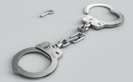 Over 15,000 fake birth records on Maharashtra portal; 5 held from Jharkhand