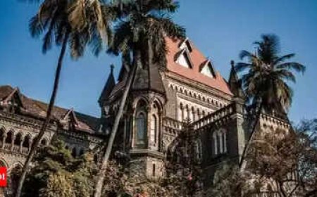 Can't force dad's caste on child raised by single mom: Bombay HC