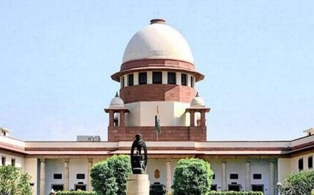 'Who will pay for it?': SC raps Tamil Nadu govt for promising free electricity; flags 'freebie' politics