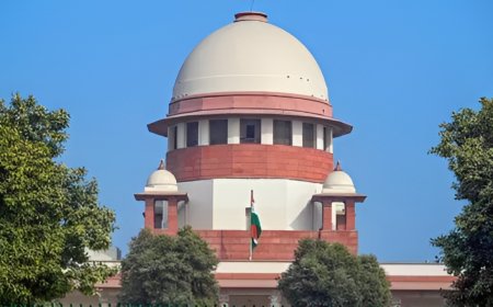'Appeasing policy': Why Supreme Court flagged 'freebies culture' and cautioned states