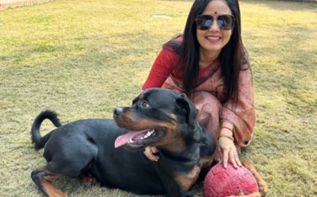 TMC MP Mahua Moitra moves Delhi high court against ex-partner seeking custody of pet Rottweiler 'Henry'