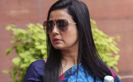 Mahua Moitra moves Delhi HC against order denying shared custody of pet