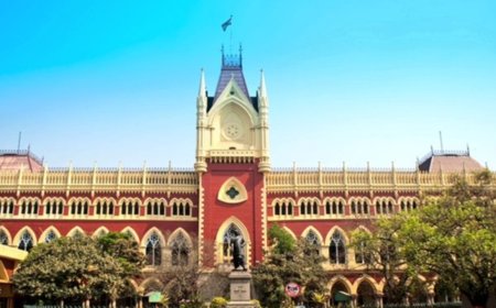 Parents' qualification doesn't matter in custody battle: Calcutta HC