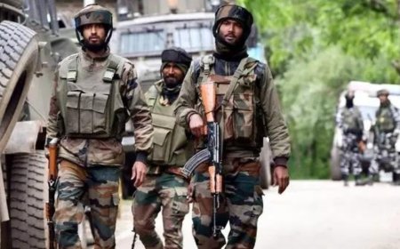 Operation Jwala: Arms, ammo recovered near LoC in J&amp;K’s Rajouri