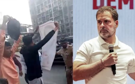 BJP shows black flag to Rahul Gandhi after Congress' shirtless protests at AI Summit