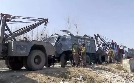 7 CRPF personnel injured in Srinagar as vehicle plunges into canal