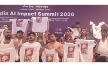 'Shirtless protest' at AI summit akin to treason, Rahul was inspiration, says BJP