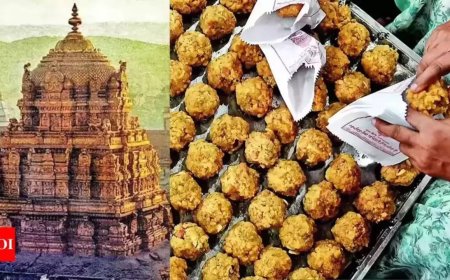 Tirupati row: Andhra CM Chandrababu Naidu flags 'conspiracy angle', claims '20 crore laddus' made with adulterated ghee