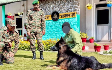 'Wounded yet in high spirits': Army shares update on braveheart dog Tyson who 'took the first bullet'