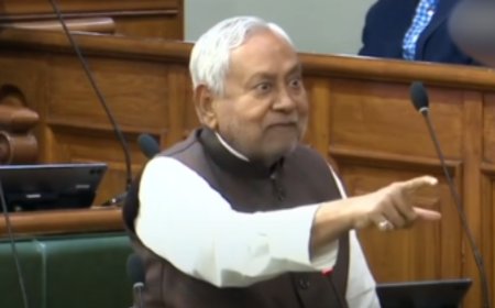 'We're 2002': Nitish Kumar's big slip as he loses cool on oppn in assembly - watch